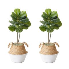 Artificial Fiddle Leaf Fig Tree with Handmade Cotton & Jute Planter - Set of 2