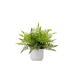 13in. Artificial Boston Fern Plant with Decorative Planter