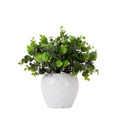 11in. Artificial Boxwood Plant with Decorative Planter