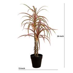 2ft. Artificial Dracaena Marginata Plant
