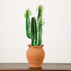 28in. Artificial Cactus in Terracotta Planter