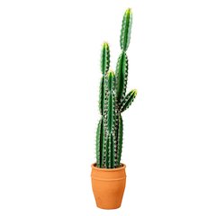 5ft. Artificial Cactus in Terracotta Planter