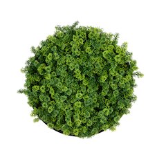 20in. UV Resistant Irish Green Meadow Artificial Living Wall Art Panel