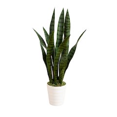 2ft. UV Resistant Artificial Sansevieria Plant in White Decorative Planter
