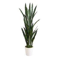 5ft. UV Resistant Artificial Sansevieria Plant in White Decorative Planter