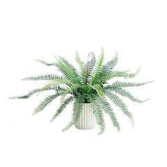 16in. Artificial Boston Fern Plant in Decorative Cement Planter