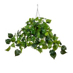 24in. UV Resistant Artificial Philodendron with 50 Warm White LED Lights