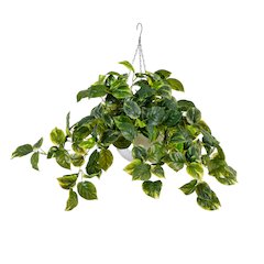 24in. UV Resistant Artificial Pothos with 50 Warm White LED Lights