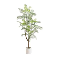 6ft. Artificial Minimalist Jacaranda Tree in White Decorative Planter