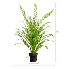 3ft. UV Resistant Artificial Boston Fern Potted Plant with Real Touch Leaves