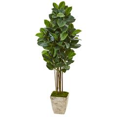 63in. Rubber Leaf Artificial Tree in Country White Planter