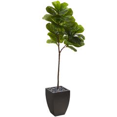 5.5ft. Fiddle Leaf Artificial Tree in Black Planter (Real Touch)