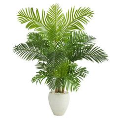 62in. Hawaii Palm Artificial Tree in White Planter