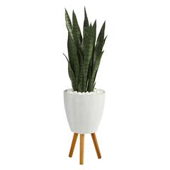4ft. Sansevieria Artificial Plant in White Planter with Stand