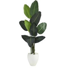63in. Travelers Palm Artificial tree in White Planter