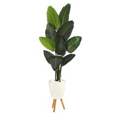 6ft. Travelers Palm Artificial Tree in White Planter with Stand