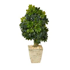 3.5ft. Schefflera Artificial Tree in Country White Planter (Real Touch)
