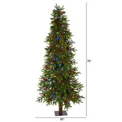 6ft. Victoria Fir Artificial Christmas Tree with 250 Multi-Color (Multifunction) LED Lights, Berries and 415 Bendable Branches