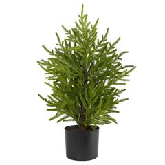 2ft. Norfolk Island Pine Natural Look Artificial Tree in Decorative Planter
