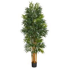 5.5ft. Phoenix Artificial Palm tree with Natural Trunk