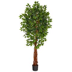 6.5ft. Super Deluxe Ficus Artificial Tree with Natural Trunk