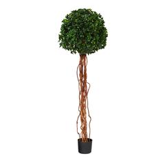 5.5ft. English Ivy Single Ball Artificial Topiary Tree with Natural Trunk