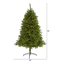 5ft. Sierra Spruce Natural Look Artificial Christmas Tree with 200 Clear LED Lights