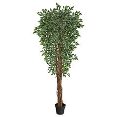 70in. Variegated Ficus Artificial Tree UV Resistant (Indoor/Outdoor)