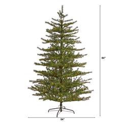 7ft. Vancouver Mountain Pine Artificial Christmas Tree with 450 Clear Lights and 1762 Bendable Branches