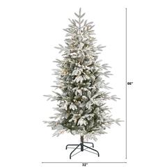5.5ft. Flocked Manchester Spruce Artificial Christmas Tree with 200 Lights and 560 Bendable Branches