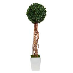 62in. English Ivy Single Ball Artificial Topiary Tree in White Metal Planter