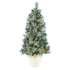 50in. Frosted BC Mountain Pine Christmas Tree with 100 Lights in White Planter