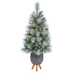 3.5ft. Frosted BC Mountain Pine Christmas Tree with 50 Lights in Gray Planter