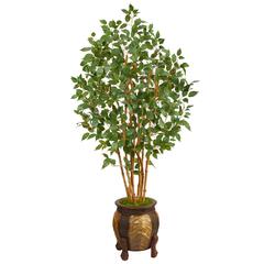5.5ft. Ficus Bushy Artificial Tree in Decorative Planter