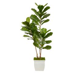 5.5ft. Fiddle Leaf Artificial Tree in White Metal Planter UV Resistant (Indoor/Outdoor)