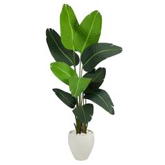 5.5ft. Travelers Palm Artificial Tree in White Planter