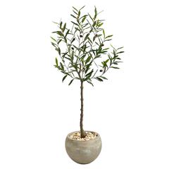 50in. Olive Artificial Tree in Sand Colored Planter