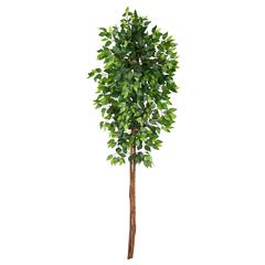 6ft. Artificial Double Trunk Ficus Tree (No Pot)