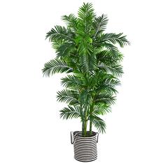 6ft. Curvy Parlor Artificial Palm Tree in Handmade Black and White Natural Jute