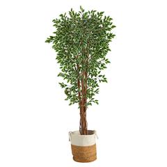 70in. Variegated Ficus Artificial Tree in Handmade Planter
