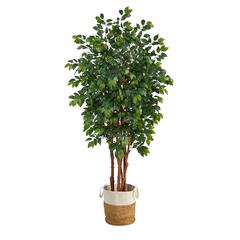 7ft. Sakaki Artificial Tree in Handmade Natural Jute and Cotton Planter