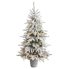 6ft. Flocked Long Vermont Pine Christmas Tree and 250 LEDs in Decorative Planter