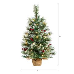 2ft. Snow Tipped Pine and Berry Artificial Christmas Tree with 35 Warm White LED Lights in Burlap Base