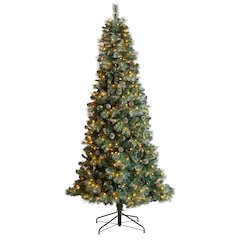 8ft. Frosted BC Mountain Pine Christmas Tree with 500 Clear Lights
