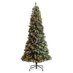 9ft. Frosted BC Mountain Pine Christmas Tree with 700 Clear Lights