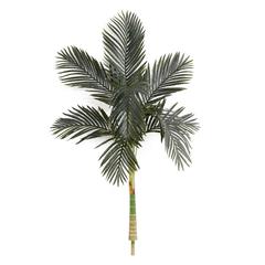 5ft. Artificial Golden Cane Palm Tree (No Pot)