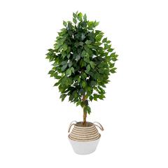 4.5ft. Artificial Ficus Tree with Double Trunk in Handmade Cotton