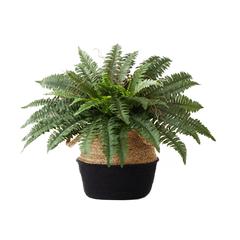 23in. Artificial Boston Fern Plant with Handmade Jute & Cotton Basket DIY KIT