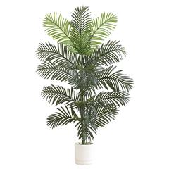 6ft. Artificial Paradise Palm with White Decorative Planter