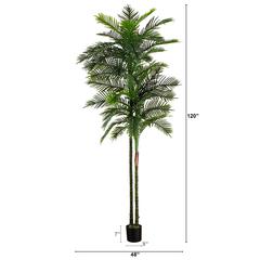 10ft. UV Resistant Artificial Double Robellini Palm Tree (Indoor/Outdoor)
